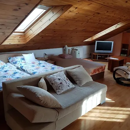 Apartment V Rodinnem Dome